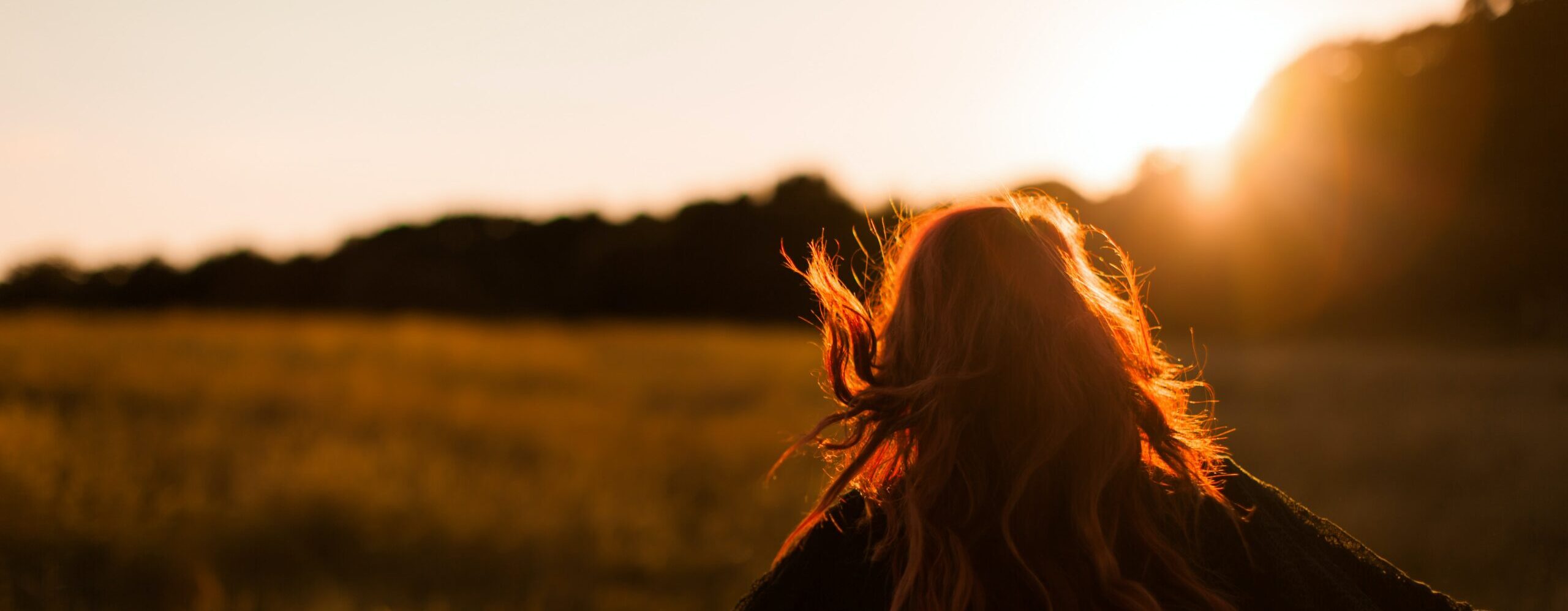 Wild Minds Header