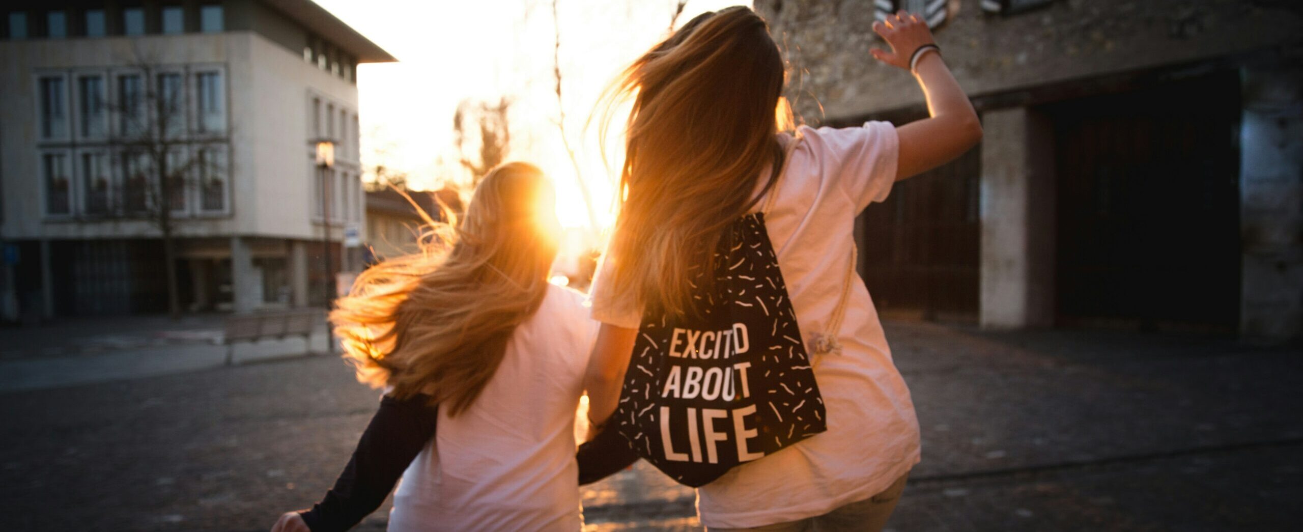 Wild Minds Header