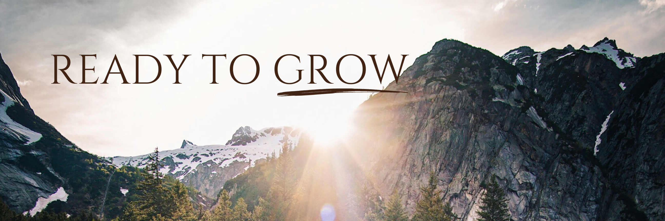 Wild Minds Header