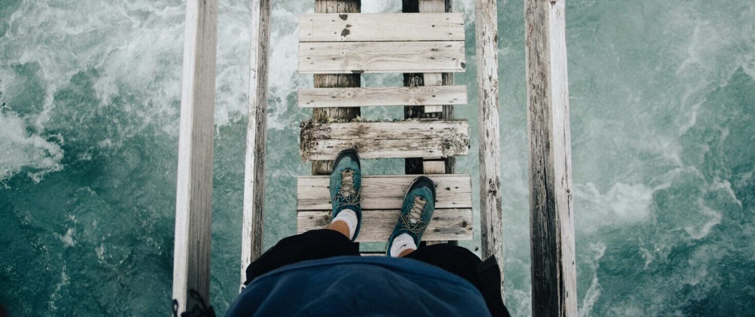 Wild Minds Header