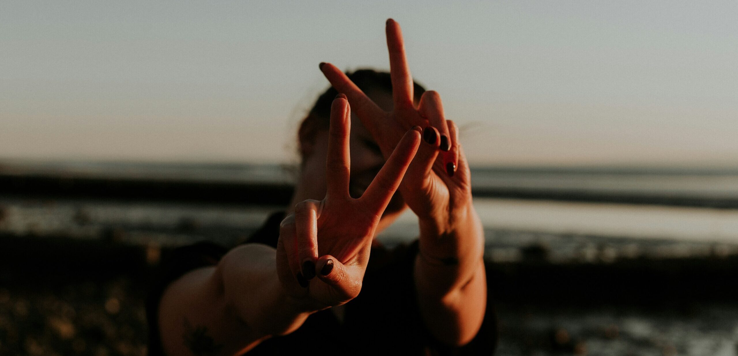 Wild Minds Header