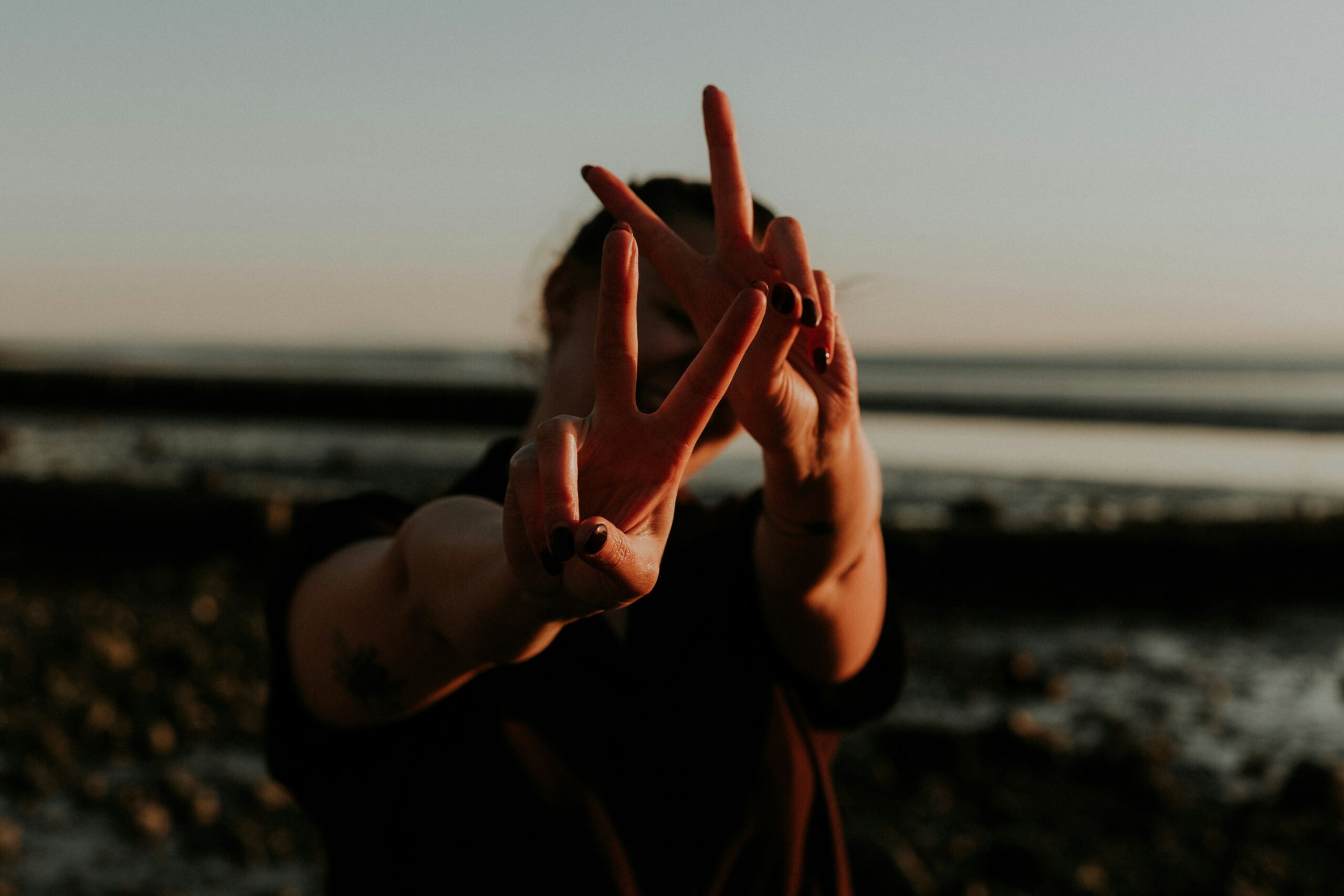 Wild Minds Header